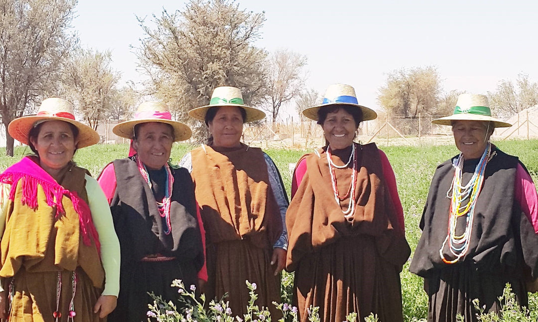 Aymara Frauen