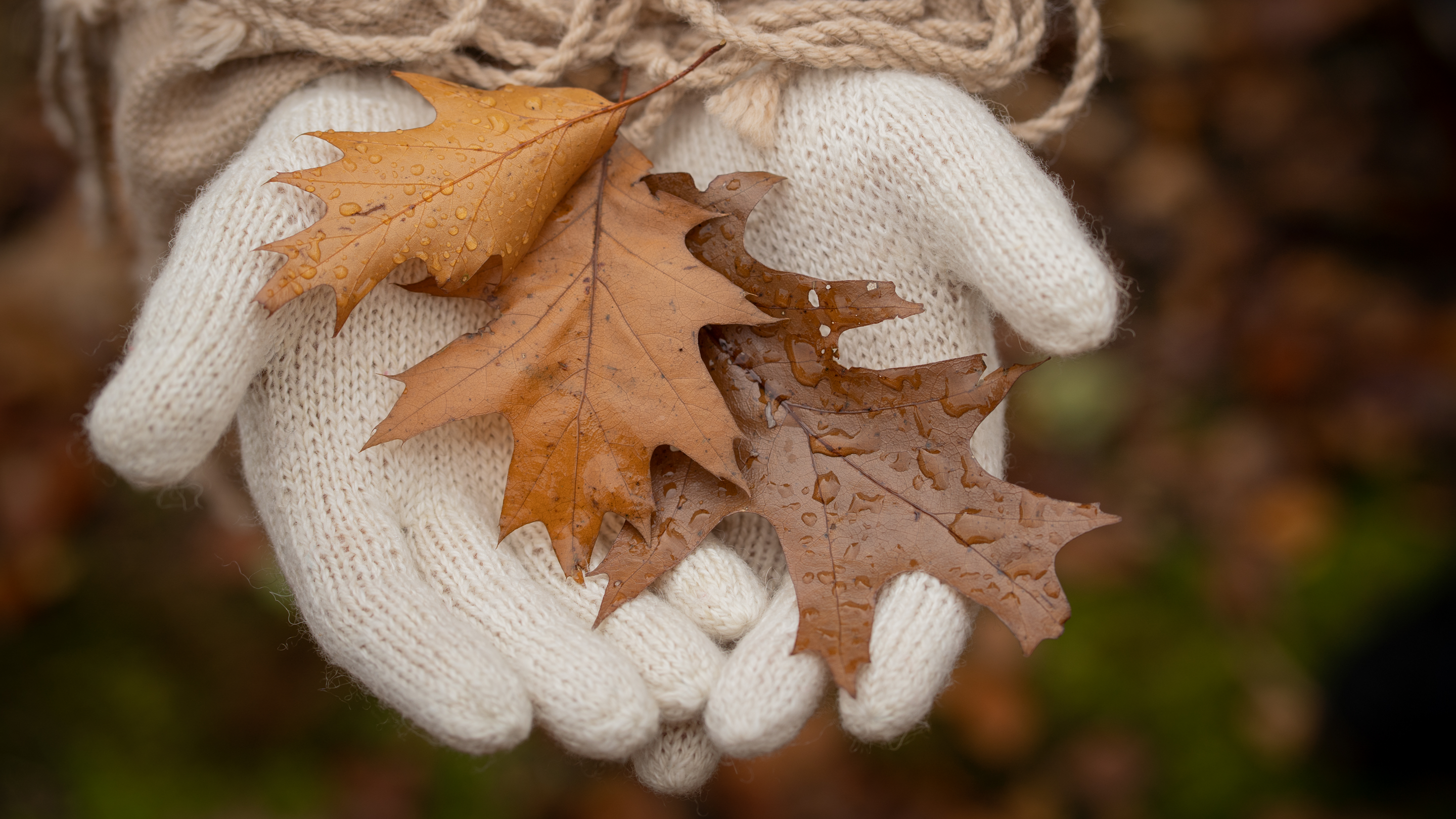 Alpaca Gloves Warm and Breathable Andes Alpaca