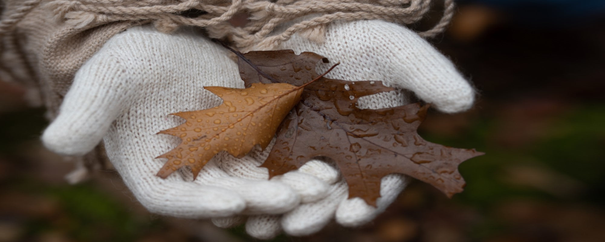 Weiße Alpaka Handschuhe mit trockenen Blättern