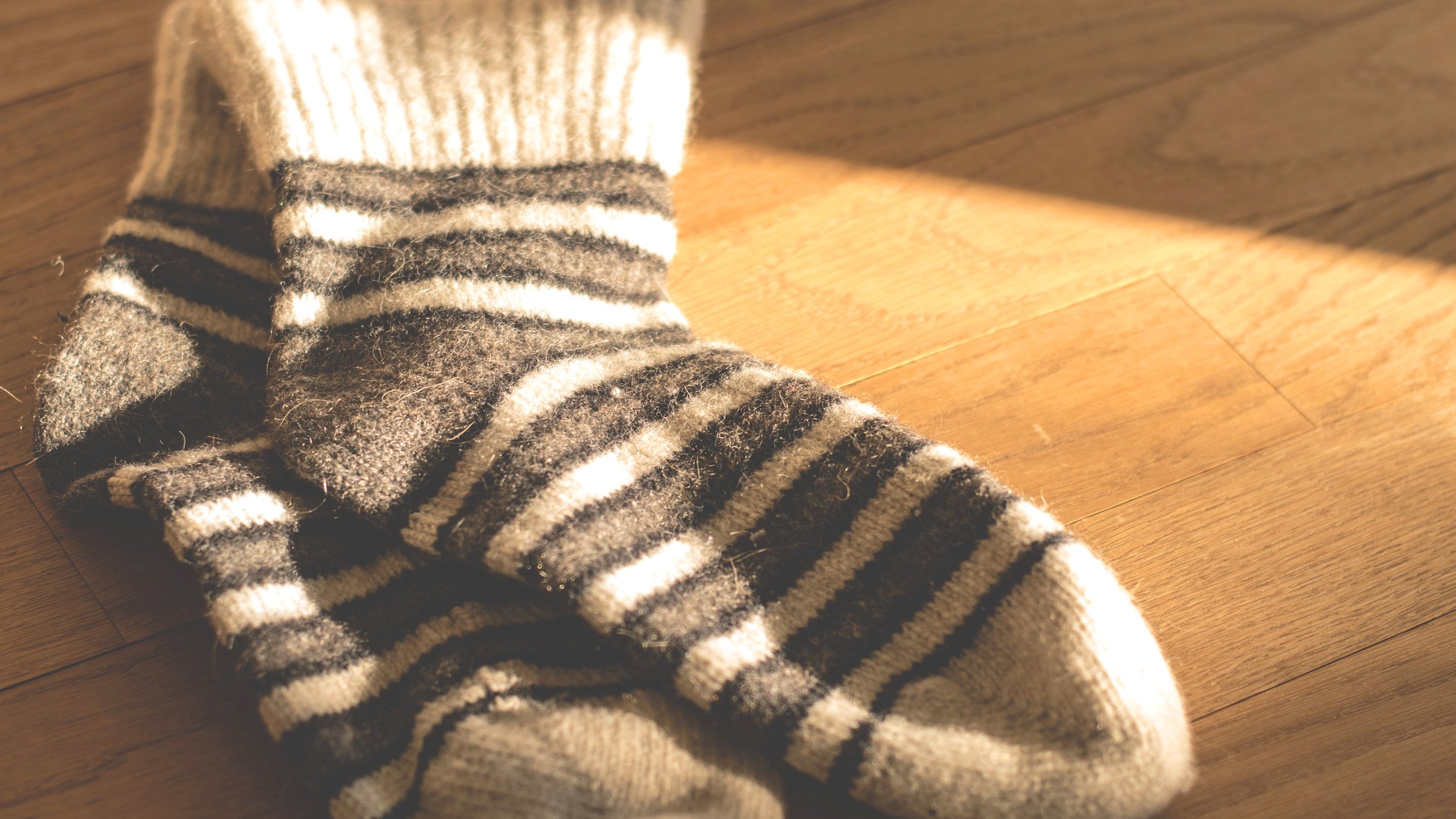 Alpaca socks are one of the most comfortable pair of socks you will ever  wear.